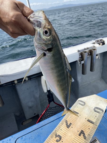 夢丸 釣果