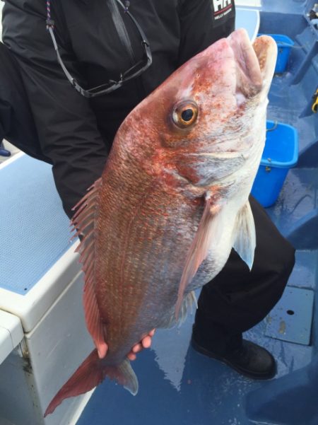 松栄丸 釣果