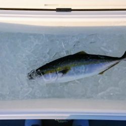 火遠理丸（ほおりまる） 釣果