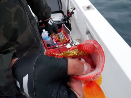 開進丸 釣果