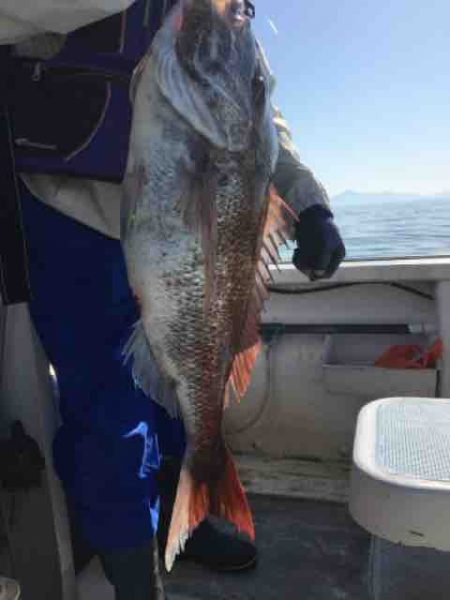 龍宮丸 釣果