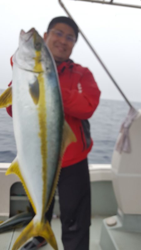 海峰 釣果