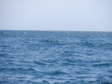 開進丸 釣果