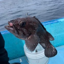 宝昌丸 釣果