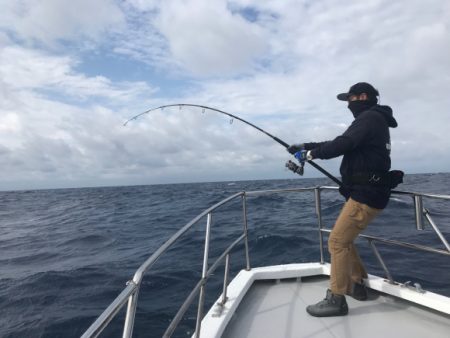 まると屋 釣果