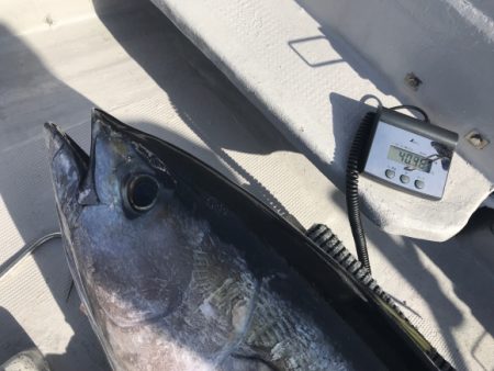 まると屋 釣果