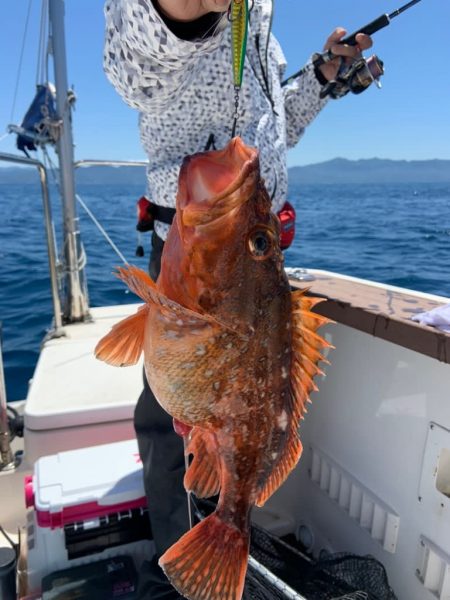 宝昌丸 釣果