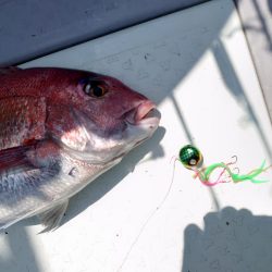 ブルーズ 釣果