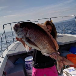 ブルーズ 釣果