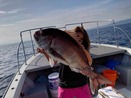 ブルーズ 釣果