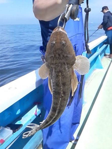 さわ浦丸 釣果