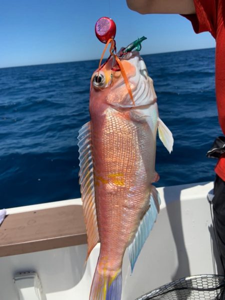 宝昌丸 釣果