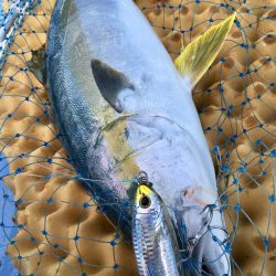 松鶴丸 釣果