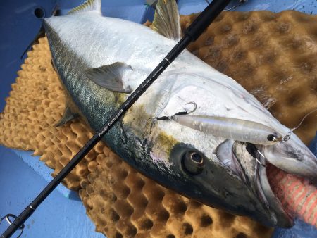 松鶴丸 釣果