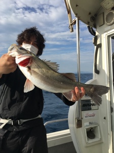 シーモンキー 釣果