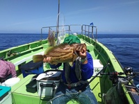 なごみ船 釣果