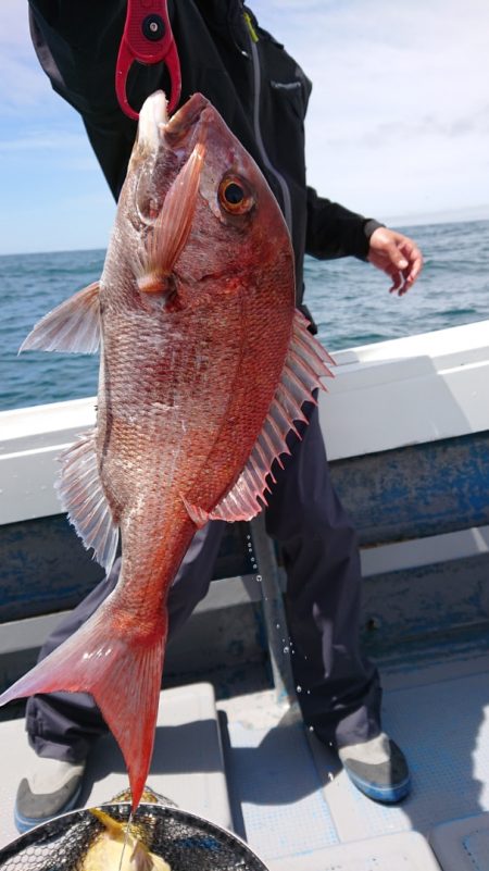 だて丸 釣果