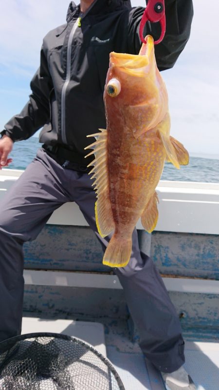 だて丸 釣果