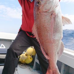 だて丸 釣果