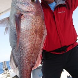 だて丸 釣果