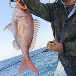 だて丸 釣果