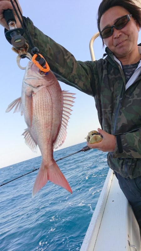 だて丸 釣果