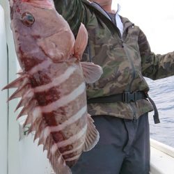 だて丸 釣果