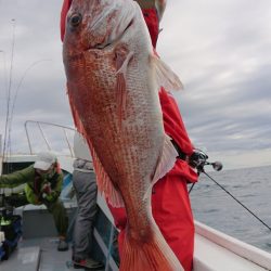 だて丸 釣果