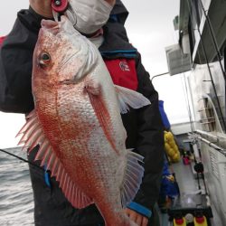 だて丸 釣果