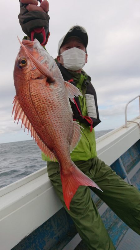 だて丸 釣果