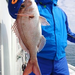 だて丸 釣果