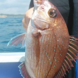 新幸丸 釣果