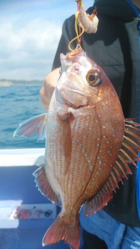 新幸丸 釣果