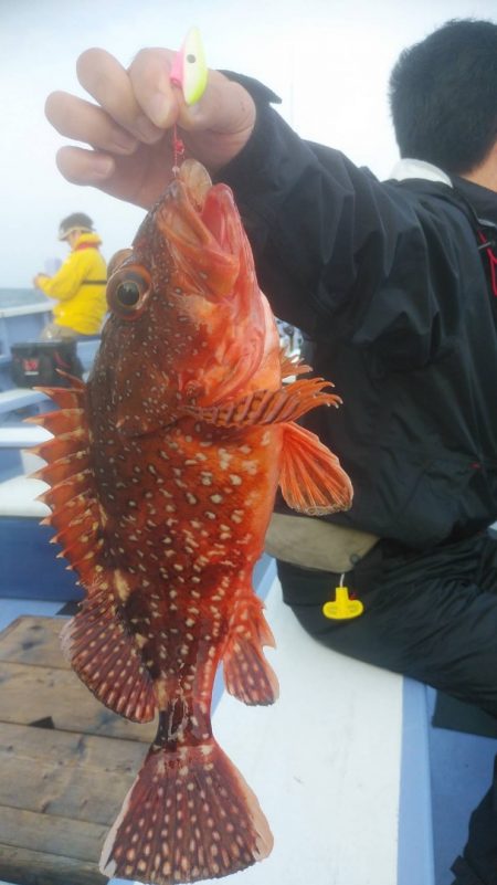 新幸丸 釣果