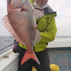 だて丸 釣果