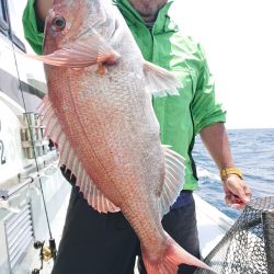 だて丸 釣果