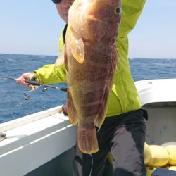 だて丸 釣果