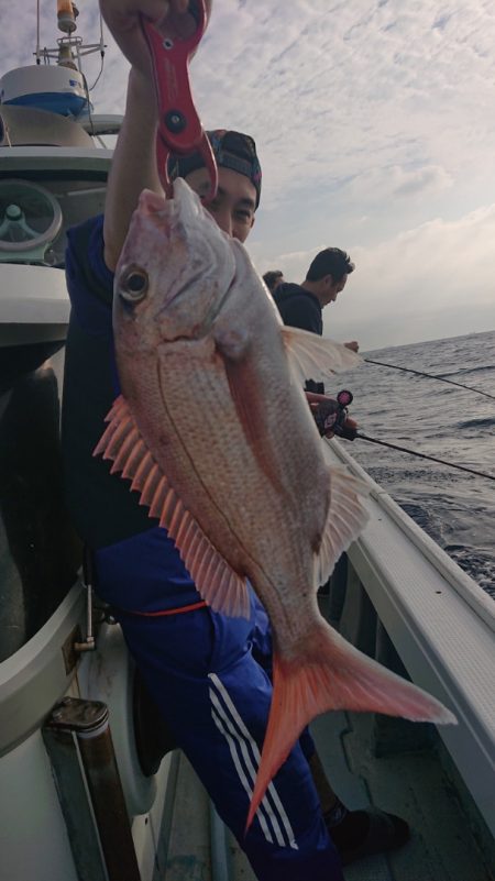 だて丸 釣果