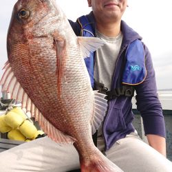 だて丸 釣果