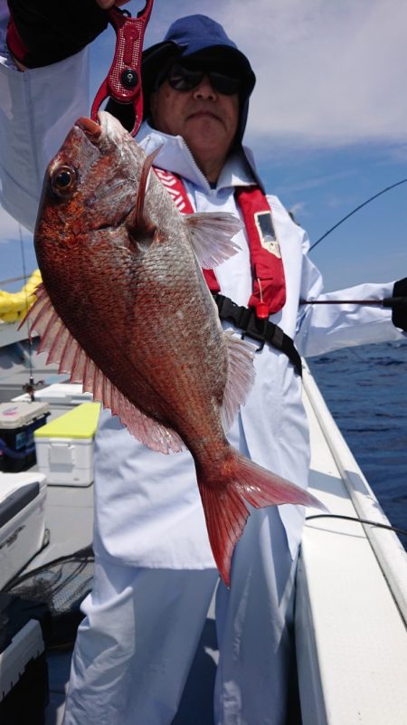 だて丸 釣果