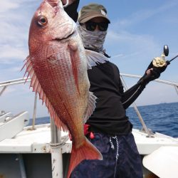 だて丸 釣果