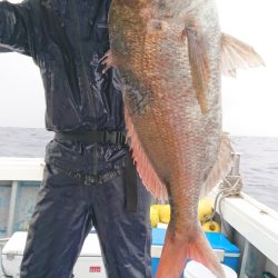 だて丸 釣果