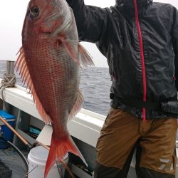 だて丸 釣果