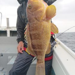 だて丸 釣果