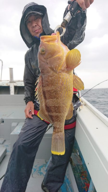 だて丸 釣果