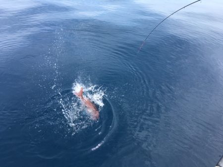 金栄丸 釣果