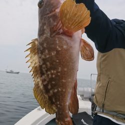 遊漁船　家入 釣果