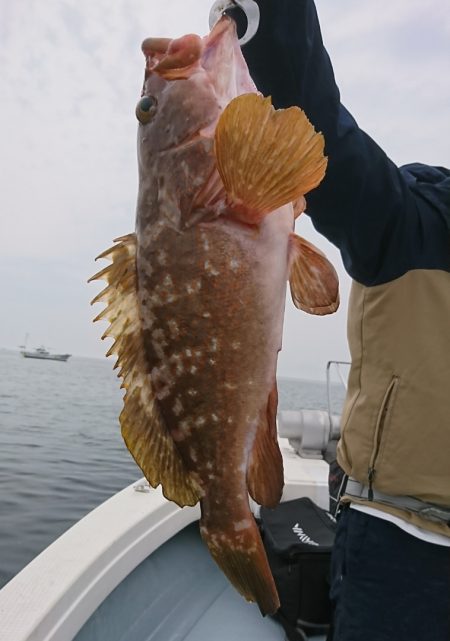 遊漁船　家入 釣果