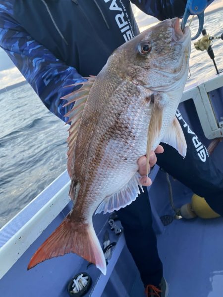 新幸丸 釣果