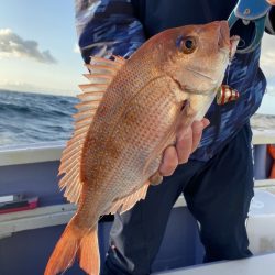 新幸丸 釣果